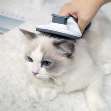 Load image into Gallery viewer, Cat Self-Cleaning Comb
